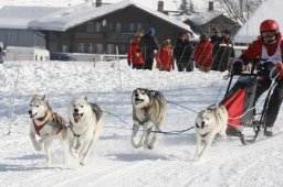Lenk 2012 SM